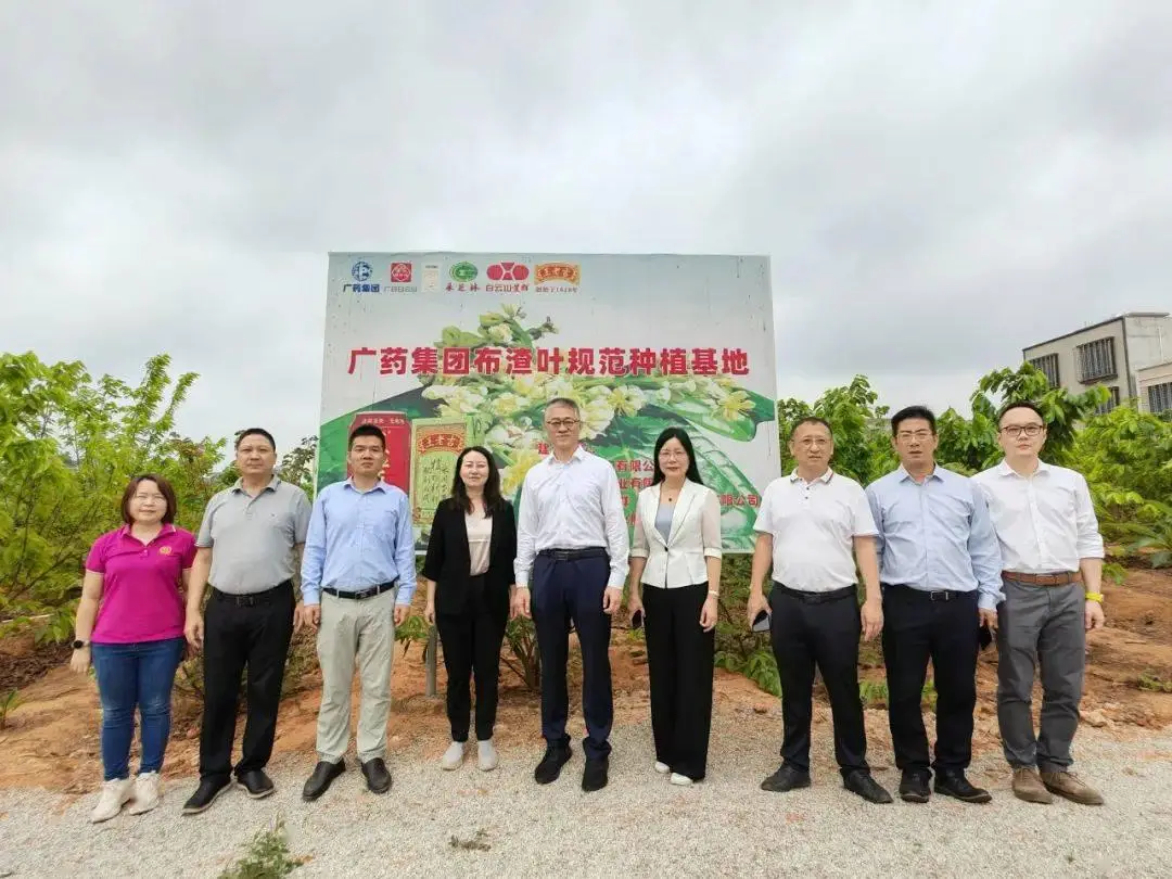 廣藥集團(tuán)總經(jīng)理楊軍一行赴湛江雷州市南興鎮(zhèn)調(diào)研